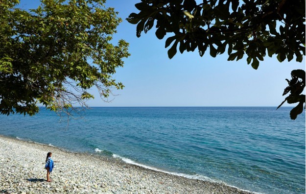 PLATAMON