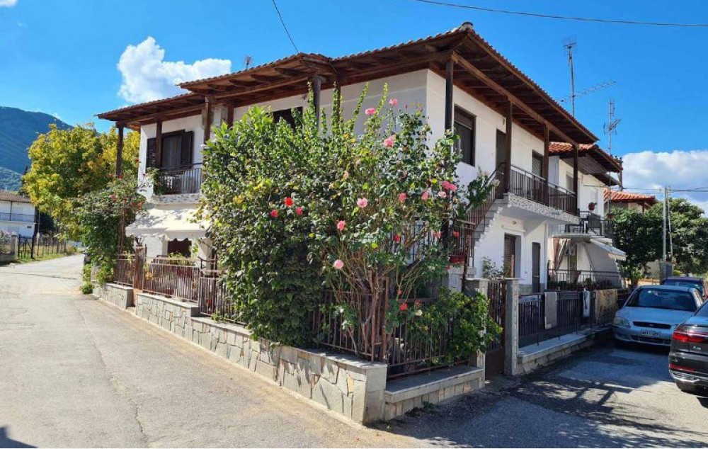 VILA DIMITRA PLATANI / Stavros | Letovanje